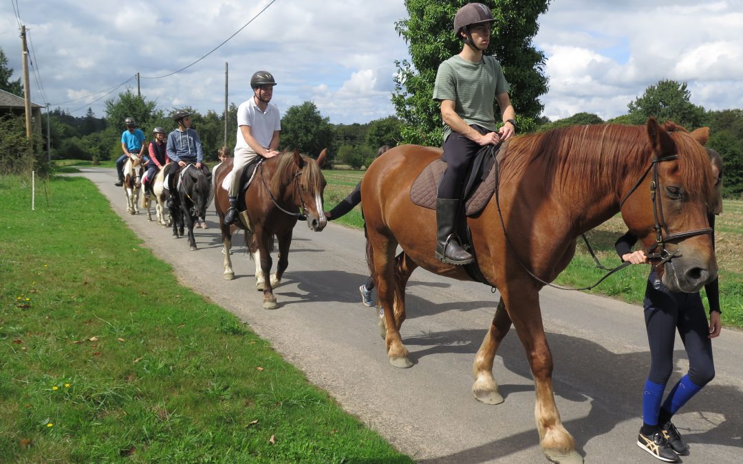 10, 17 et 24 septembre – Tous en selle pour 3 séances d&rsquo;équitation !