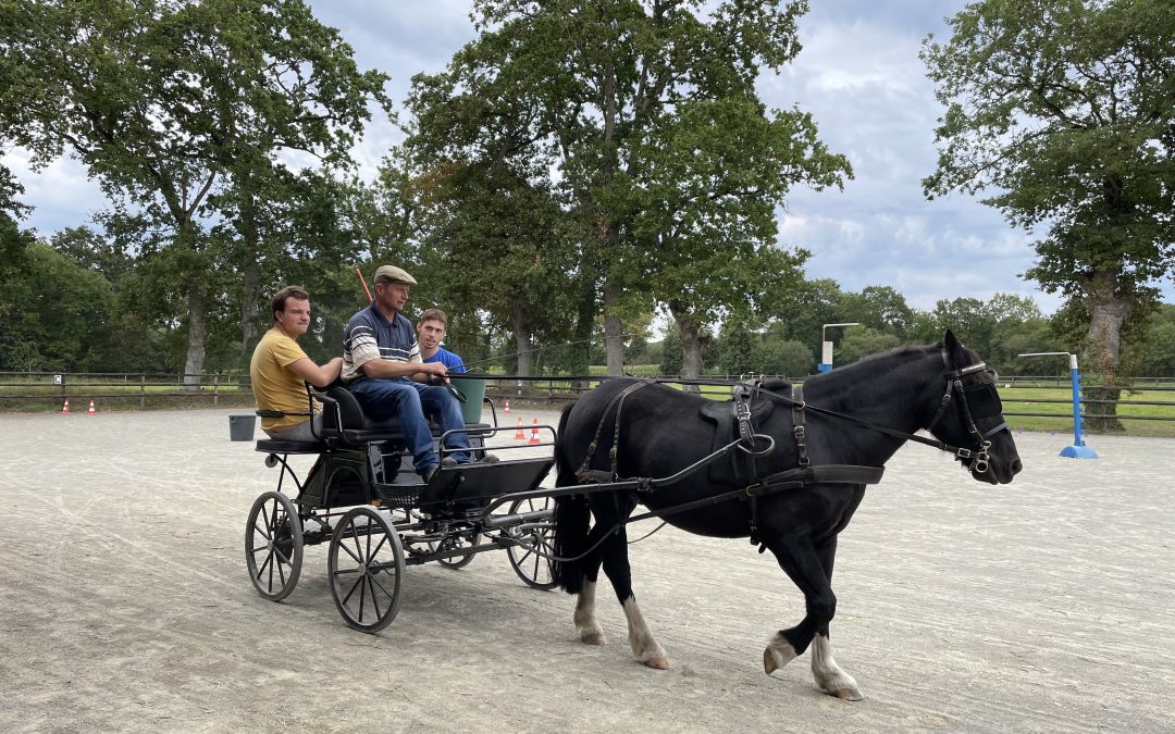 16 septembre – Attelage