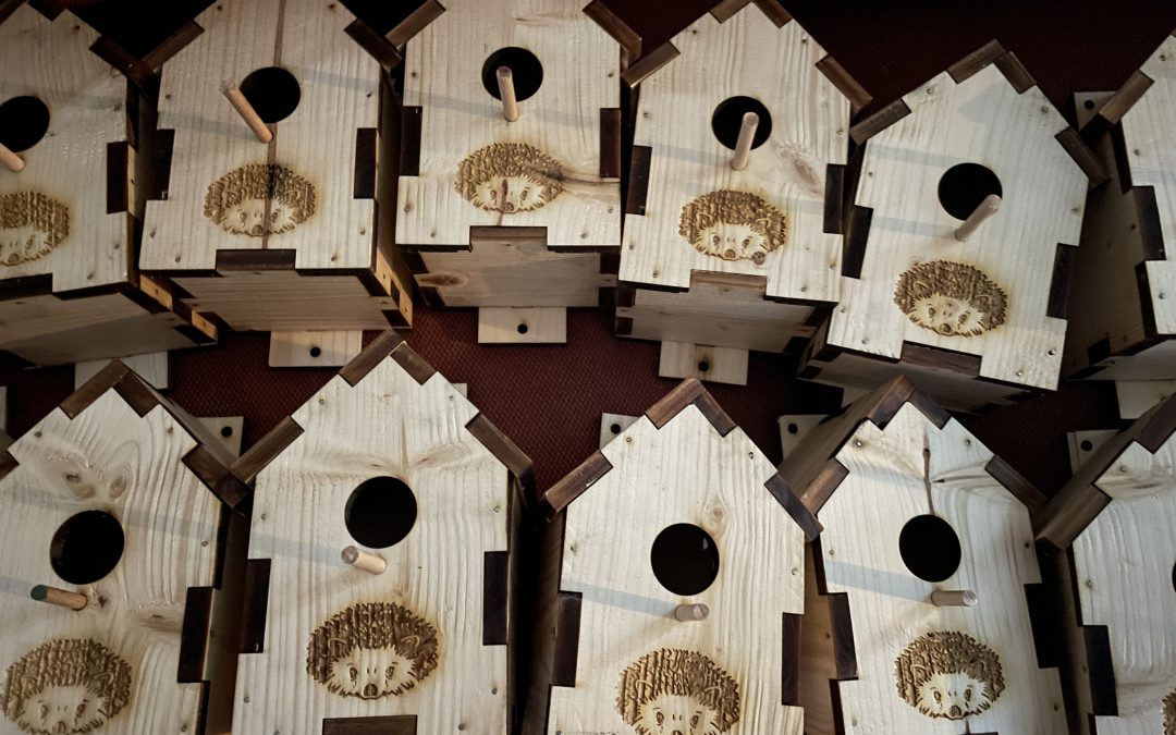 13 janvier- Fabrication de nichoirs